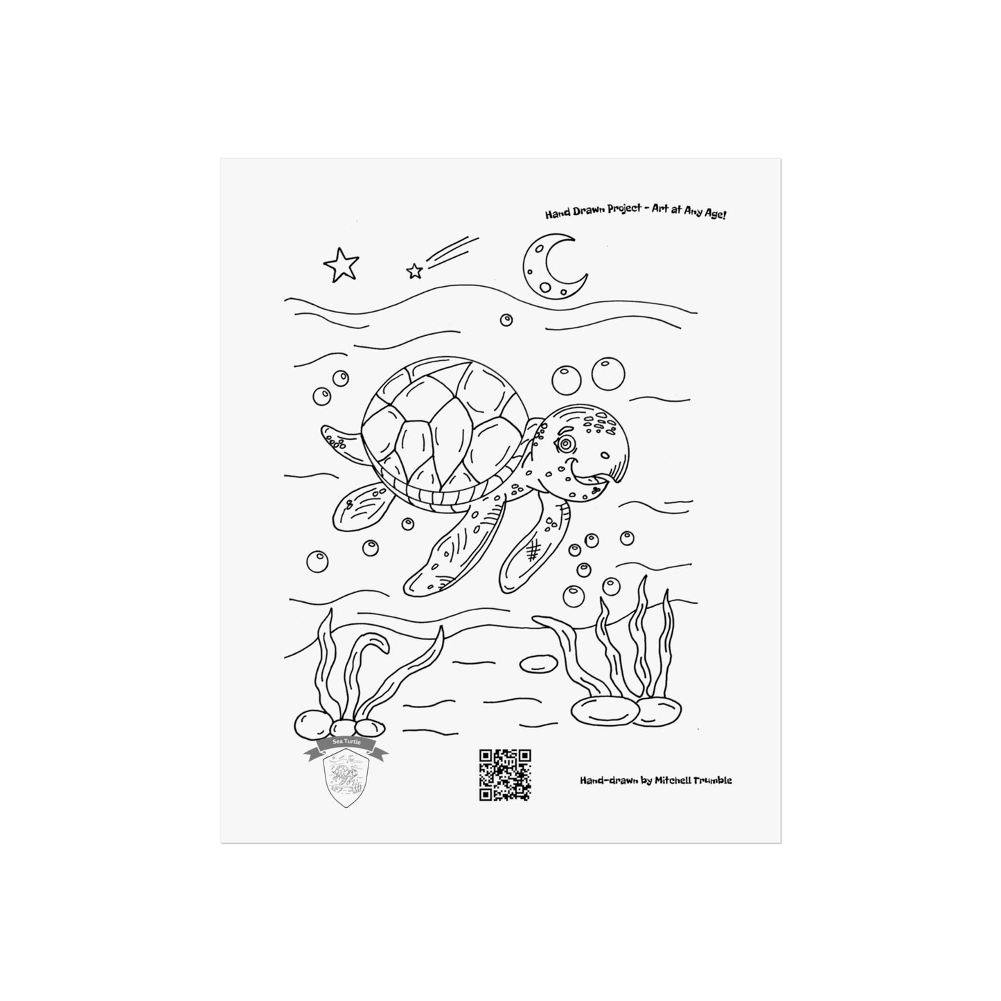 Smiling Sea Turtle β Ocean Critter Wall Art Poster